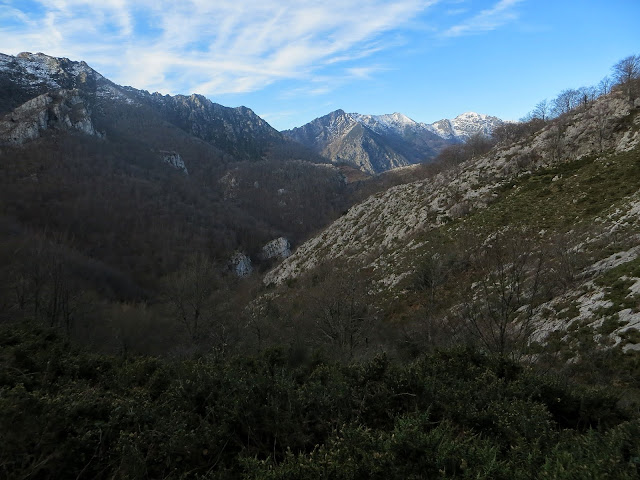 cortegueron2