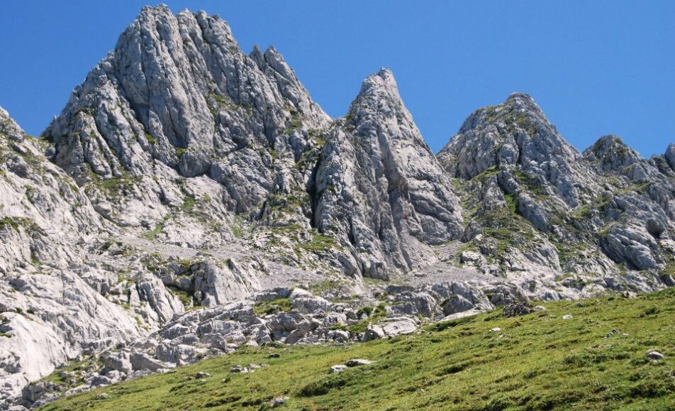 Pozal 1