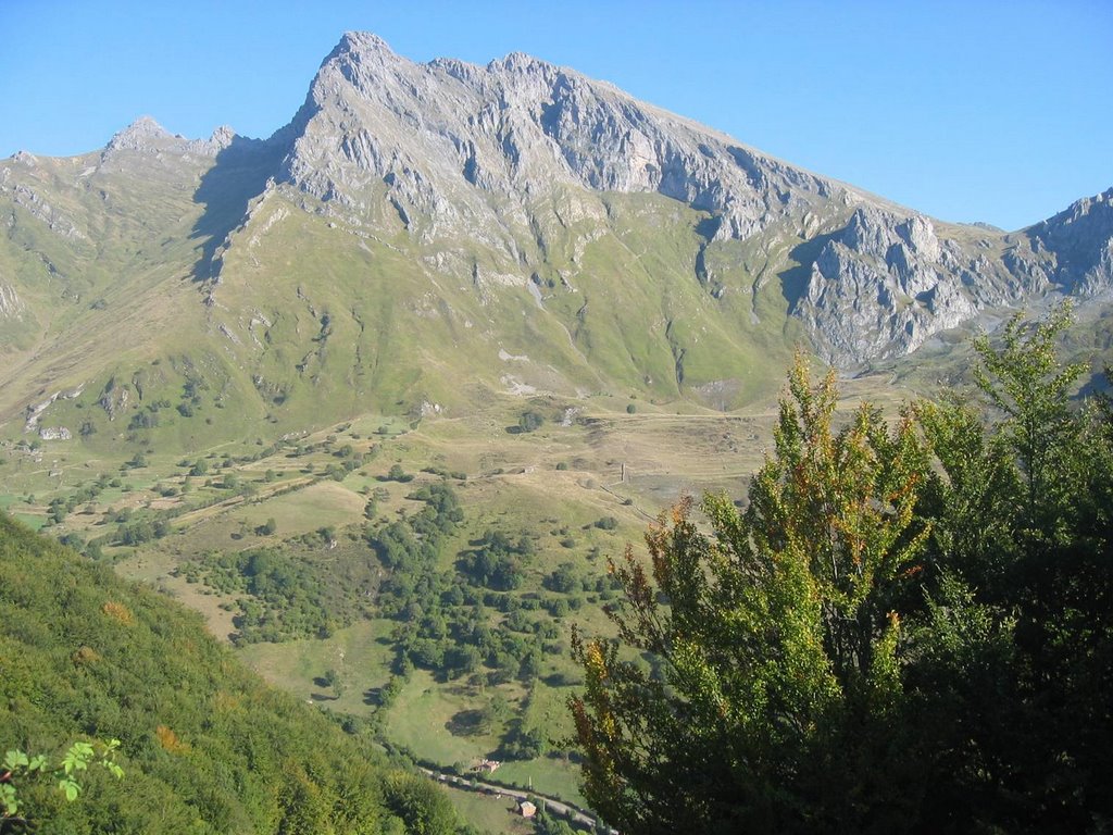 siegalava2