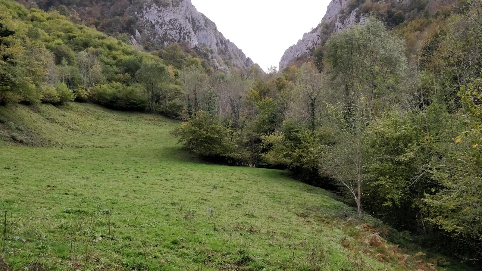 toral2