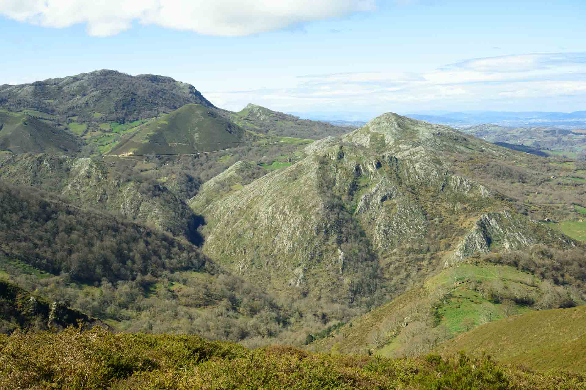 varallonga2