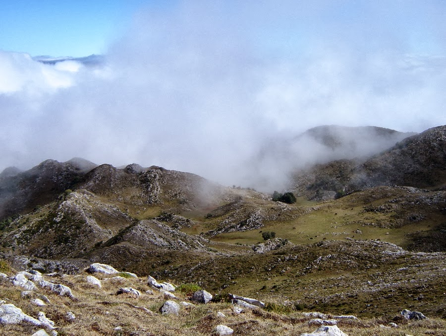 saleras2
